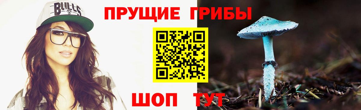 Псилоцибиновые грибы GOLDEN TEACHER  Вход с VPN  Артёмовский 